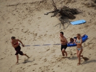 gower201008038