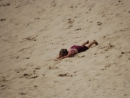 gower201008044