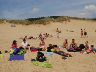 gower201008045