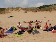 gower201008046