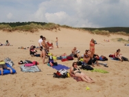 gower201008048