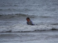 gower201008053