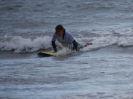 gower201008077