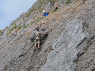 gower201008085