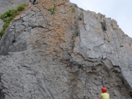 gower201008102