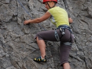 gower201008104