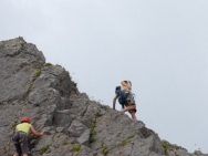 gower201008108