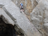 gower201008111