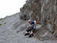 gower201008113