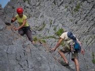 gower201008116