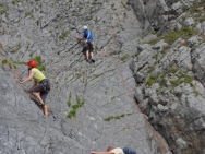 gower201008118