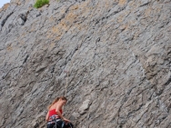 gower201008120