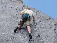 gower201008130