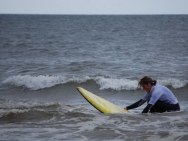 gower201008143