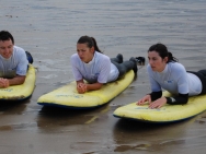 gower201008164
