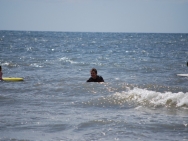 gower201008182