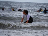 gower201008189
