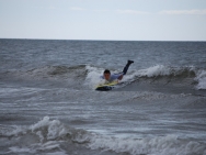 gower201008195