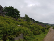 20190616_093600
