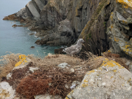 PXL_20220828_095135359