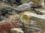 PXL_20220828_100233186.MP_