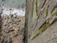 PXL_20220828_133802338