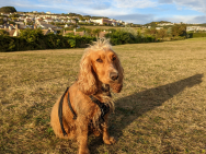 PXL_20220828_180146345