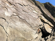 WhatsApp-Image-2022-08-29-at-7.13.29-PM