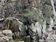 749457A9-21DD-480A-99F8-31BFD810CCAF