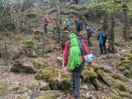 PXL_20220430_084324491