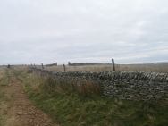 IMG_20211016_115120