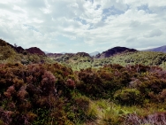 peaks 5