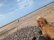 PXL_20220717_113737798