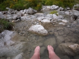 picos201206003