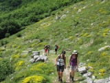 picos201206005