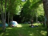 picos201206029