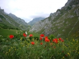 picos201206035