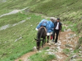 picos201206036