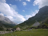 picos201206037