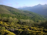 picos201206039