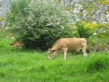 picos201206040