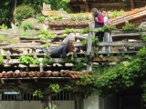 picos201206046