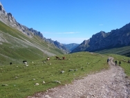 PicosValley