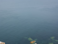 20190803_102540