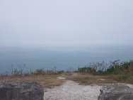 20190804_145239