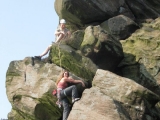 roaches201204003