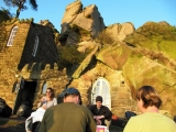 roaches201204006