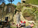 roaches201204008