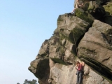roaches201204009