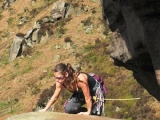 roaches201204011